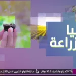 Roya TV