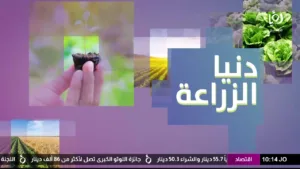 Roya TV
