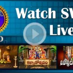 SVBC TTD