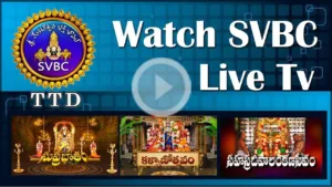 SVBC TTD