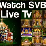 SVBC TTD: SVBC2
