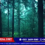 TV CRET
