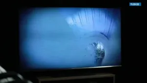 TV Universal