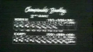 TVS Bowling Network