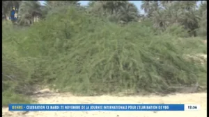 Tele Tchad