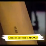 Telecomercio TV