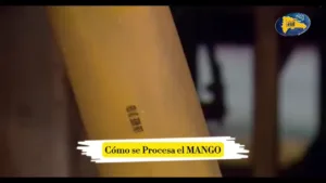 Telecomercio TV