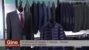 Telestense