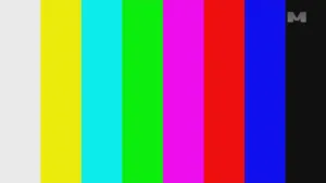 Televizija M