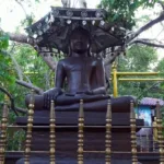 The Buddhist TV