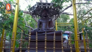 The Buddhist TV