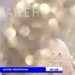 Tin TV