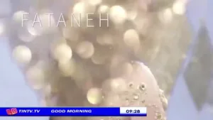 Tin TV