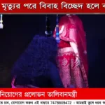 ZillarBarta News
