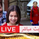 أفلام تركية مدبلجة للعربية – Turkish Movies