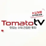 토마토증권통